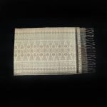IMG_6865_FiberlSESi4U
