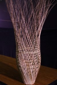 Lampu Cumi